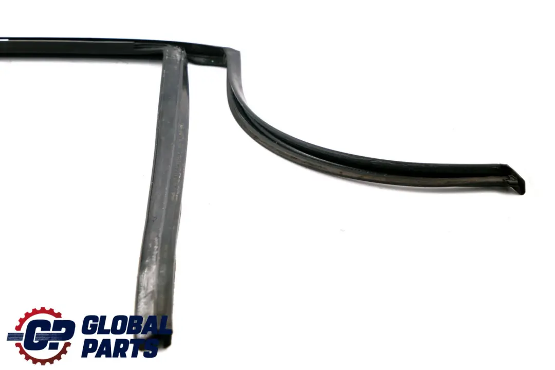 BMW X1 Series E84 Window Guide Seal Gasket Left N/S Rear Door - SKU 2990319 - Part number 2990319