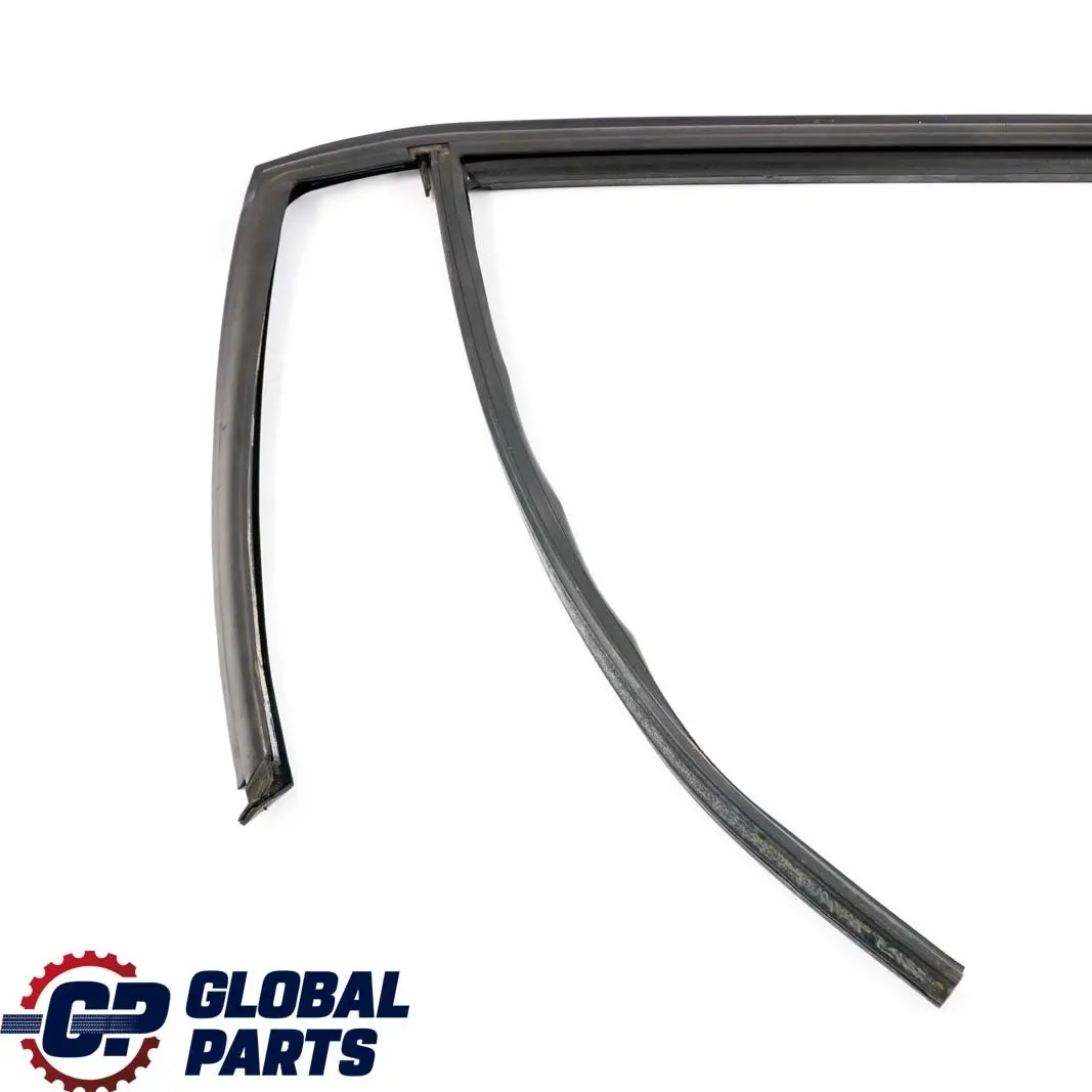  .*BMW X1 E84 Guarnizione Guida Finestrino Destro Porta Posteriore - SKU 2990320 - Numero di parte 2990320
