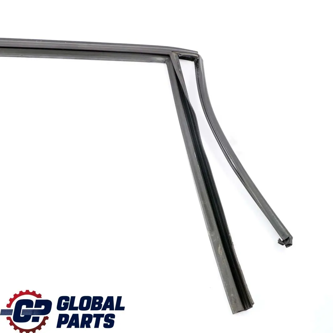  .*BMW X1 E84 Guarnizione Guida Finestrino Destro Porta Posteriore - SKU 2990320 - Numero di parte 2990320