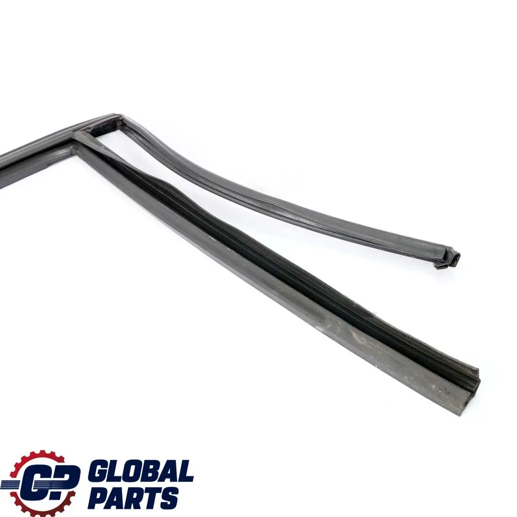  .*BMW X1 E84 Guarnizione Guida Finestrino Destro Porta Posteriore - SKU 2990320 - Numero di parte 2990320
