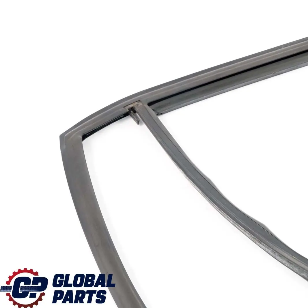  .*BMW X1 E84 Guarnizione Guida Finestrino Destro Porta Posteriore - SKU 2990320 - Numero di parte 2990320