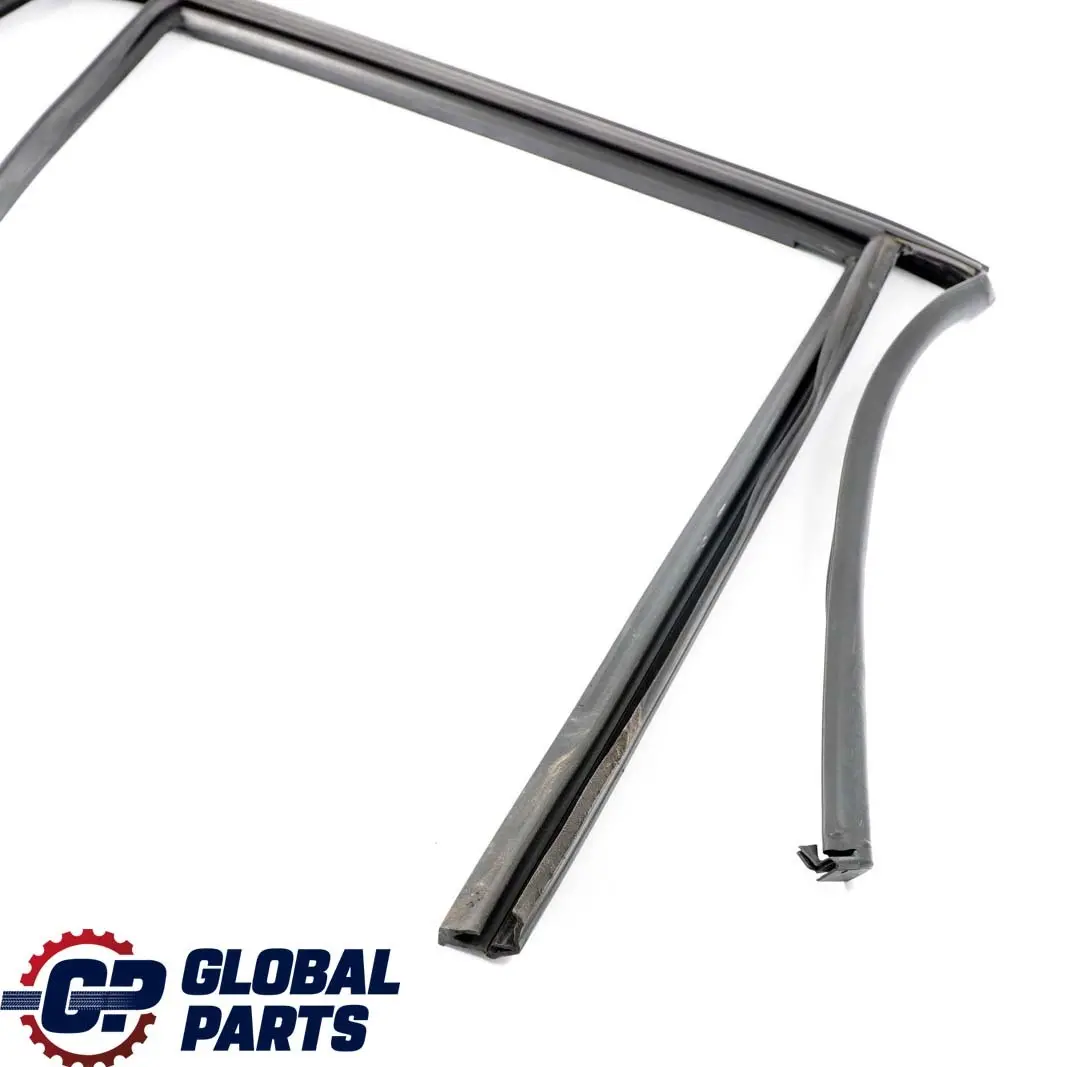  .*BMW X1 E84 Guarnizione Guida Finestrino Destro Porta Posteriore - SKU 2990320 - Numero di parte 2990320