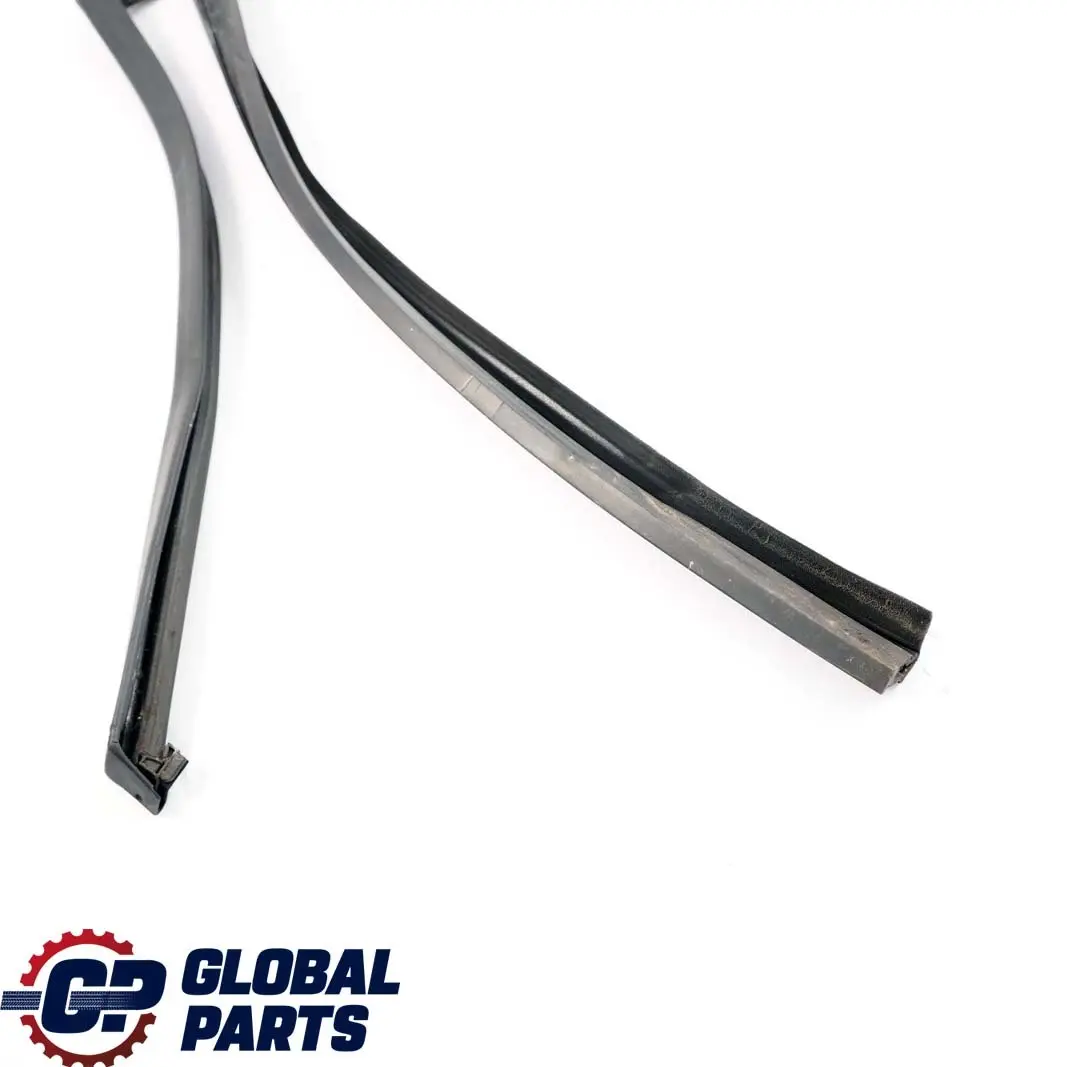  .*BMW X1 E84 Guarnizione Guida Finestrino Destro Porta Posteriore - SKU 2990320 - Numero di parte 2990320