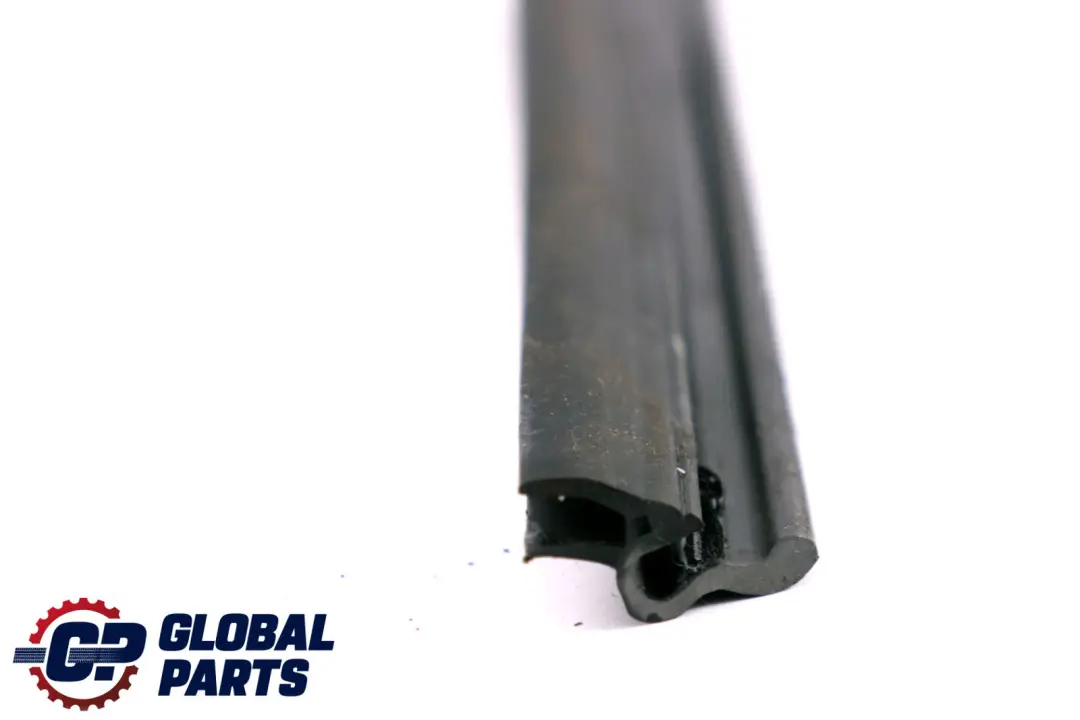 Schachtabdichtung Posteriore Interno Destro per BMW Z4 E84 con numero di parte 2990324 BMW Z4 E84 Schachtabdichtung Posteriore Interno Destro - SKU 2990324 - Numero di parte 2990324