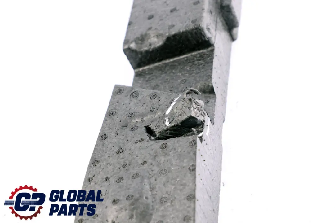 Pad Lateral Derecho Maletero para BMW E84 con número de pieza 2990738 BMW E84 Pad Lateral Derecho Maletero - SKU 2990738 - Número de pieza 2990738