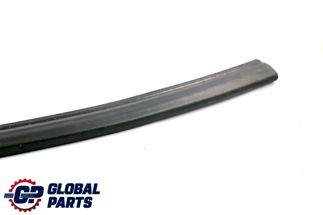 BMW X1 Series E84 Seal Bonnet Units Compartment Lateral - SKU 2991416 - Part number 2991416