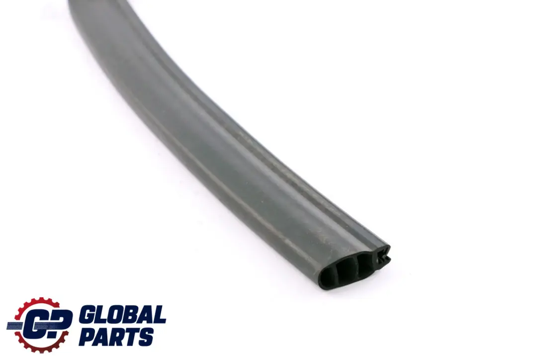 Chiusura Ermetica Aggregateraum Laterale per BMW X1 E84 con numero di parte 2991416 BMW X1 E84 Chiusura Ermetica Aggregateraum Laterale - SKU 2991416 - Numero di parte 2991416