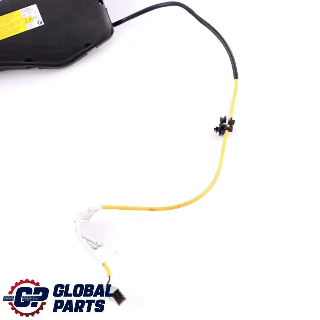 BMW X1 E84 Module d'air Module latéral du siège avant gauche - SKU 2991555 - Numéro de pièce 2991555