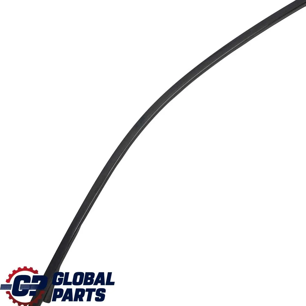 BMW 1 SERIES E82 COUPE LEFT N/S ROOF FRAME STRIP GASKET BLACK GLANZSCHWARZ - SKU 2996901 - Part number 2996901