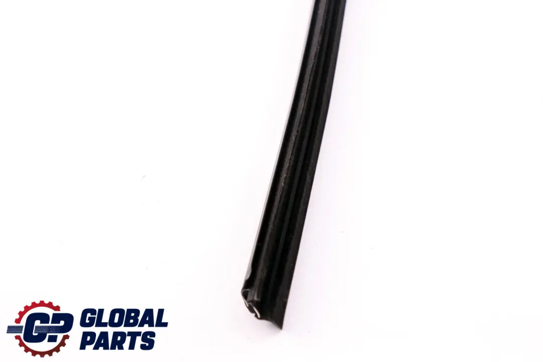 BMW X3 E83 LCI Schachtabdichtung Interno Porta Posteriore Sinistra - SKU 3330185 - Numero di parte 3330185