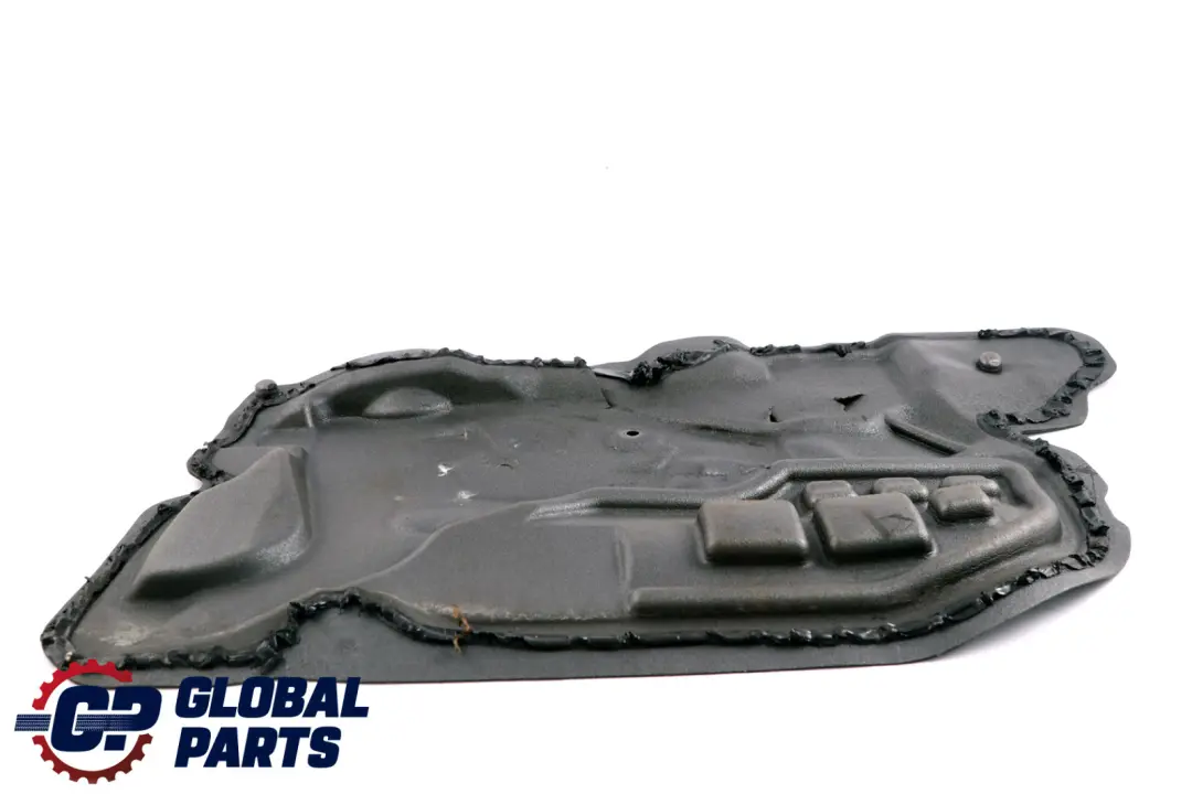 BMW X3 Series E83 Cover Sound Insulating Door Front Left N/S - SKU 3334923 - Part number 3334923