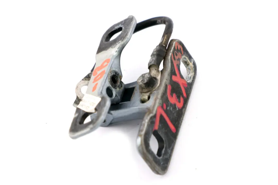 Cofano Del Bagagliaio Cardine Portellone SX Blu Acqua di Alto Mare per BMW X3 E83 con numero di parte 3400377 BMW X3 E83 Cofano Del Bagagliaio Cardine Portellone SX Blu Acqua di Alto Mare - SKU 3400377-WB - Numero di parte 3400377