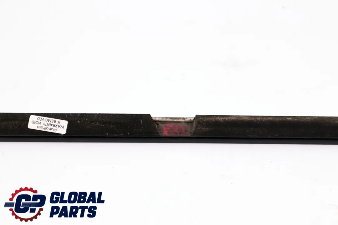 BMW E83 Puerta Trasera Izquierda Burlete Exterior Cromado - SKU 3400811 - Número de pieza 3400811