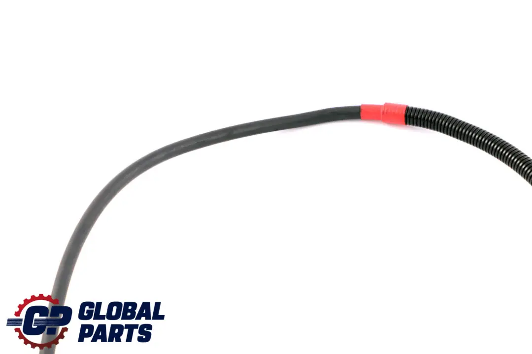 BMW E83 M57N2 3.0d Diesel Cable Alternador-Encendido-Base B - SKU 3401995 - Número de pieza 3401995