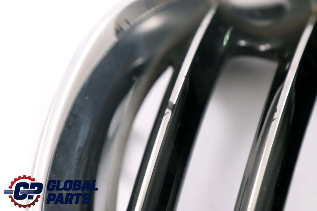 Ziergitter Front Links Chrome 5113 für BMW X3 er E83 1 mit Teilenummer 3402909 BMW X3 er E83 1 Ziergitter Front Links Chrome 5113 - SKU 3402909-1 - Teilenummer 3402909