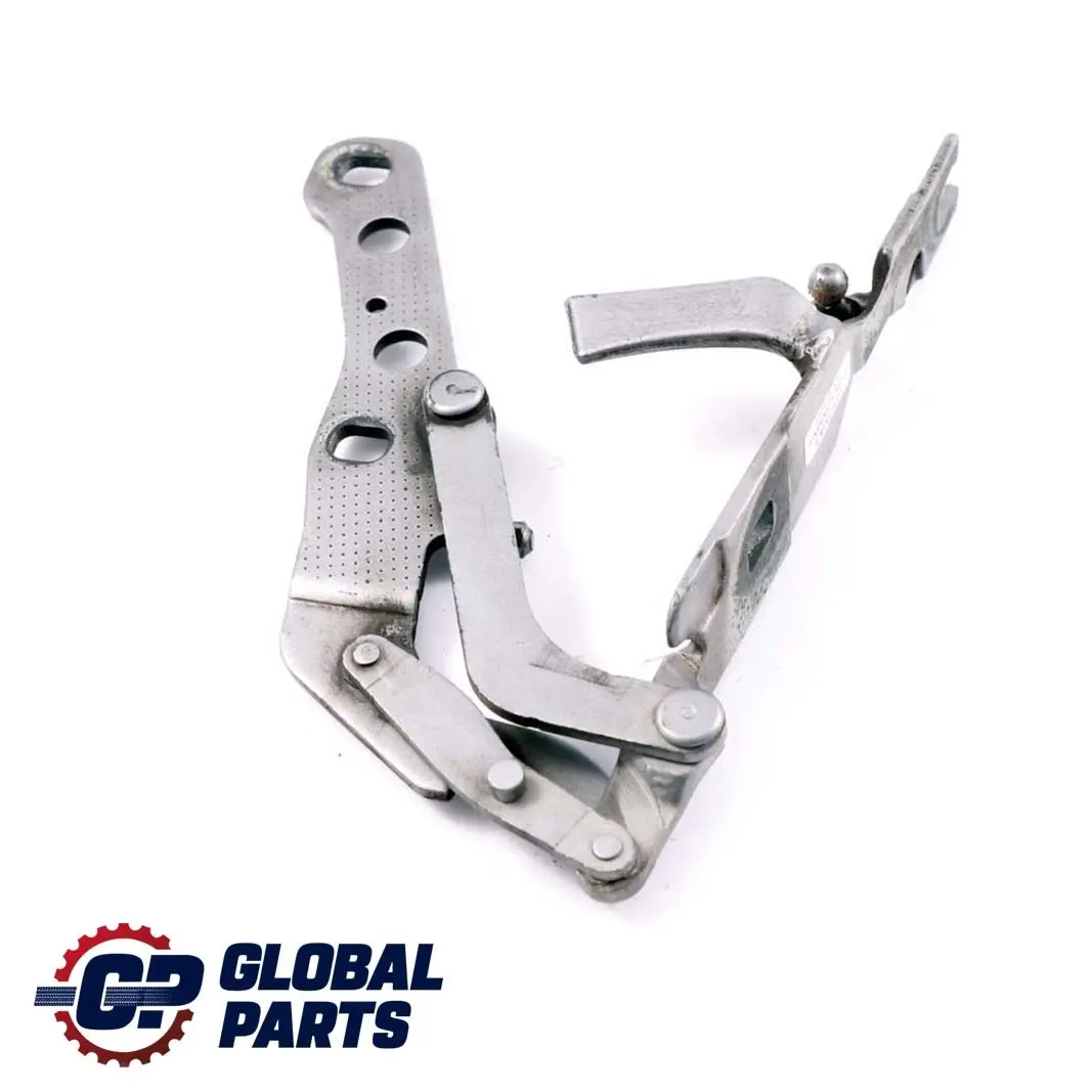 BMW X3 E83 Cardine Lembo Anteriore Destra Grigio Argento Grigio - SKU 3411448-SBG - Numero di parte 3411448