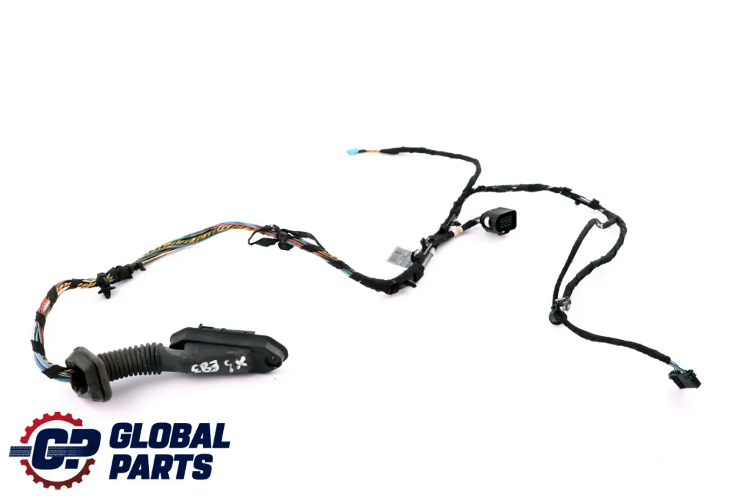 BMW X3 E83 Puerta Trasera Izquierda Derecha Cableado Loom Cables - SKU 3412574 - Número de pieza 3412574