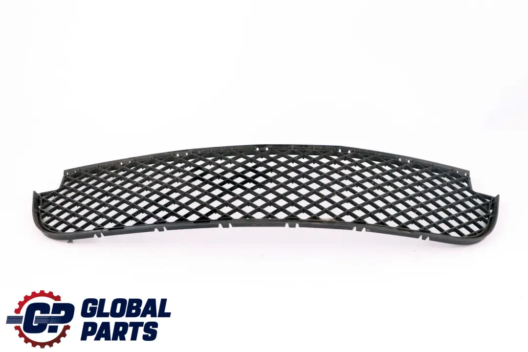 BMW X3 Series E83 LCI Grid Grille Centre Lower Bumper Front - SKU 3416203 - Part number 3416203