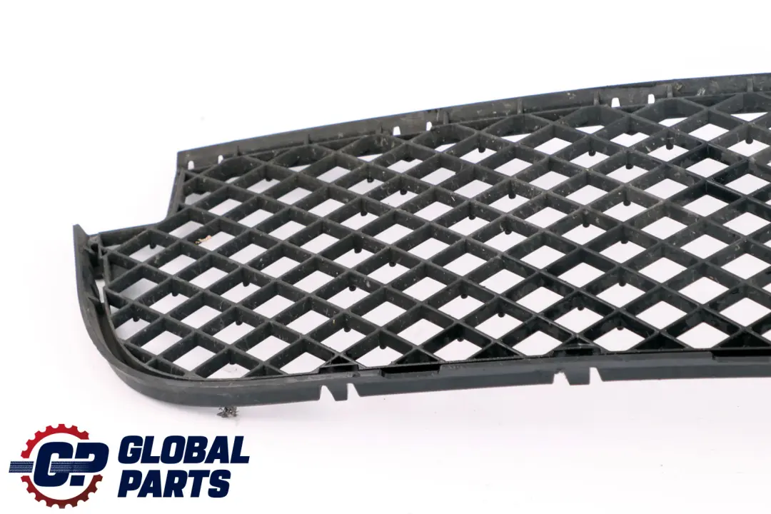 Grid Grille Centre Lower Bumper Front to BMW X3 Series E83 LCI with Part number 3416203 BMW X3 Series E83 LCI Grid Grille Centre Lower Bumper Front - SKU 3416203 - Part number 3416203