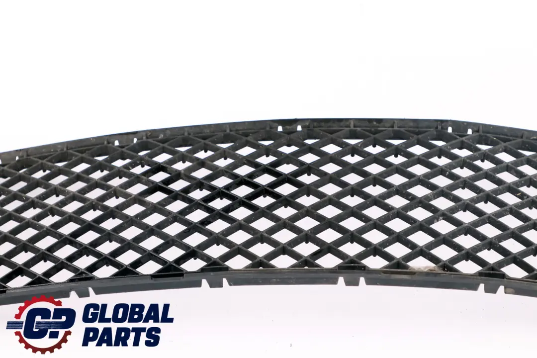 BMW X3 E83 LCI Griglia Centro Inferiore Paraurti Anteriore - SKU 3416203 - Numero di parte 3416203