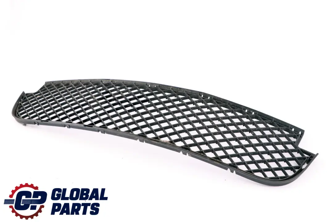 Rejilla Centro Parachoques Inferior Delantero para BMW E83 LCI con número de pieza 3416203 BMW E83 LCI Rejilla Centro Parachoques Inferior Delantero - SKU 3416203 - Número de pieza 3416203