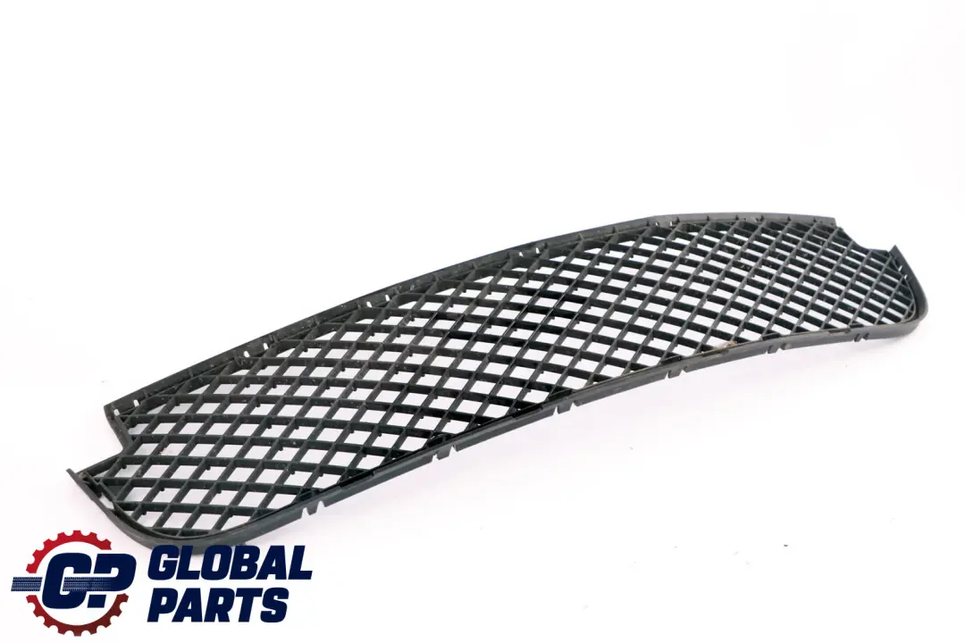 Rejilla Centro Parachoques Inferior Delantero para BMW E83 LCI con número de pieza 3416203 BMW E83 LCI Rejilla Centro Parachoques Inferior Delantero - SKU 3416203 - Número de pieza 3416203