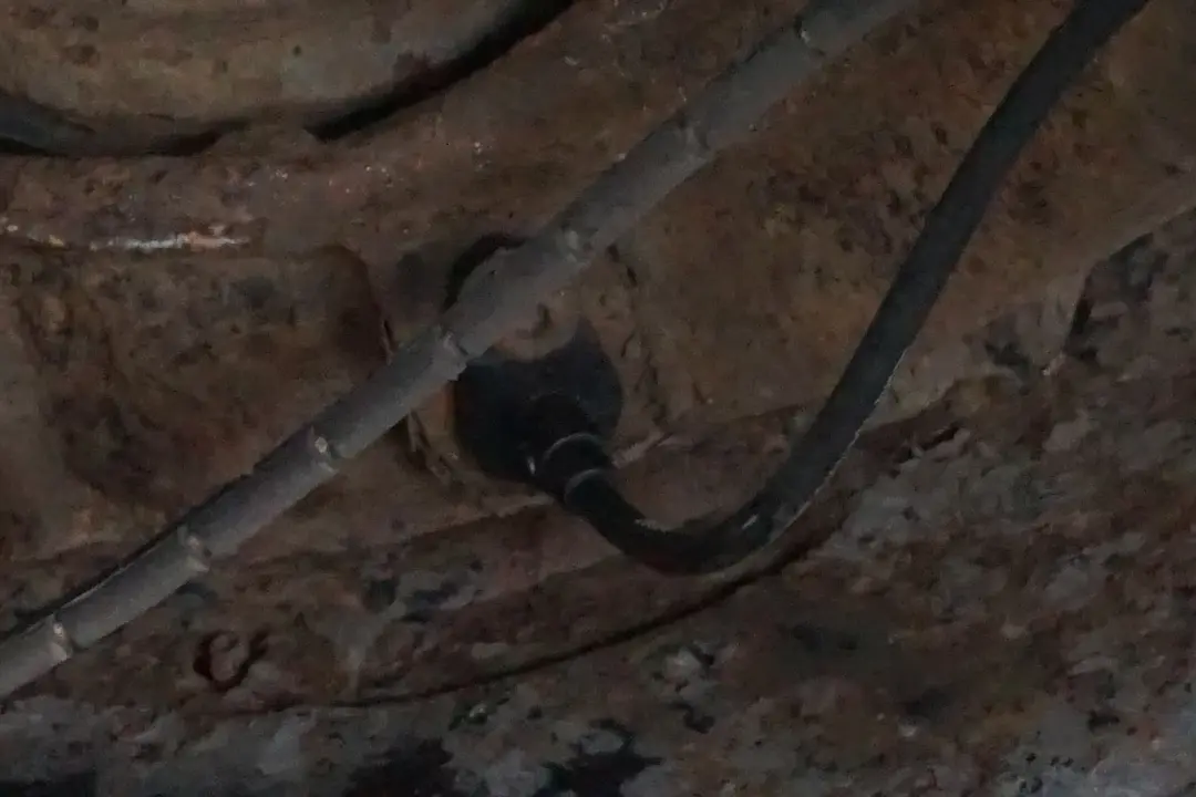 N47 Rear Right O/S Suspension Leg Arm Brake Caliper Disc to BMW X3 Series E83 2.0d with Part number 3420502 BMW X3 Series E83 2.0d N47 Rear Right O/S Suspension Leg Arm Brake Caliper Disc - SKU 3420502-4 - Part number 3420502