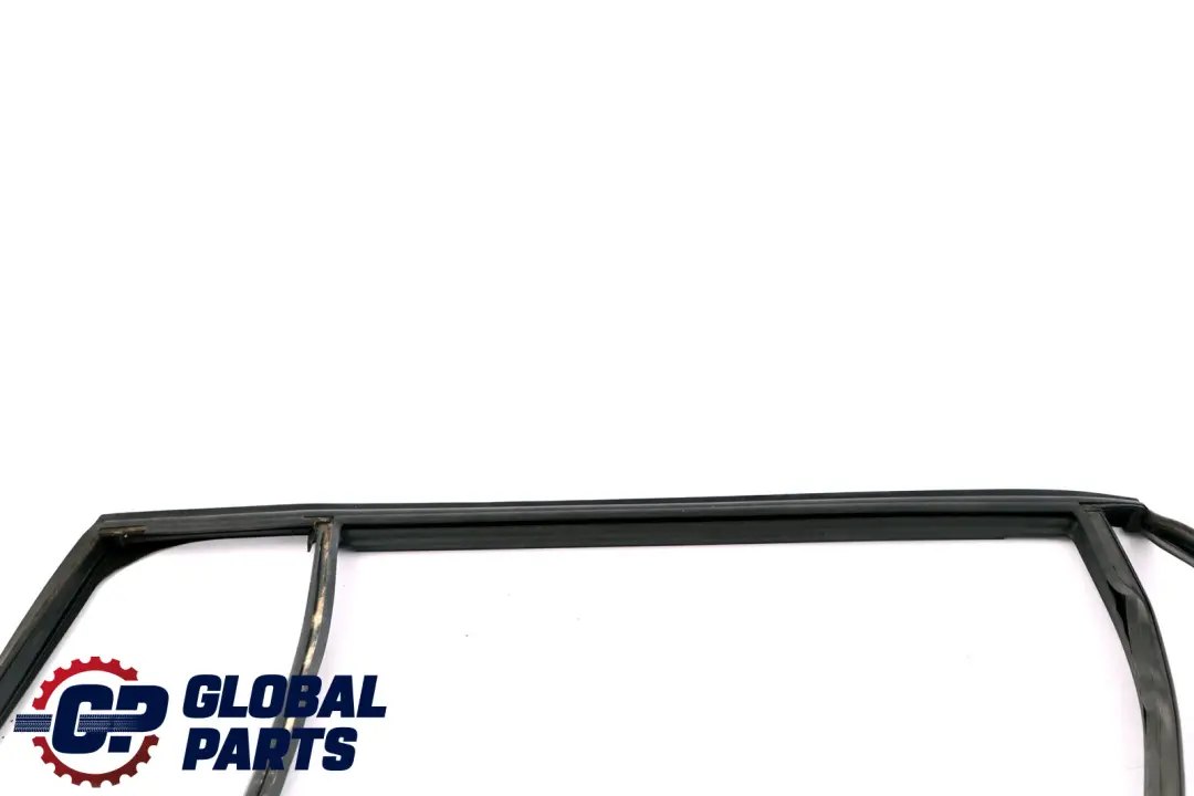 BMW X3 E83 LCI Binario Finestra Portiera Posteriore Destra Copertura Guarnizione - SKU 3424496 - Numero di parte 51353424496