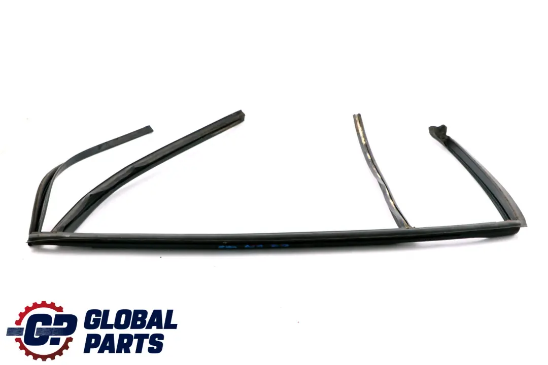 BMW X3 E83 LCI Binario Finestra Portiera Posteriore Destra Copertura Guarnizione - SKU 3424496 - Numero di parte 51353424496