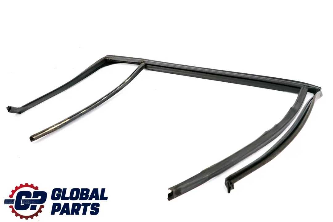 BMW X3 E83 LCI Binario Finestra Portiera Posteriore Destra Copertura Guarnizione - SKU 3424496 - Numero di parte 51353424496