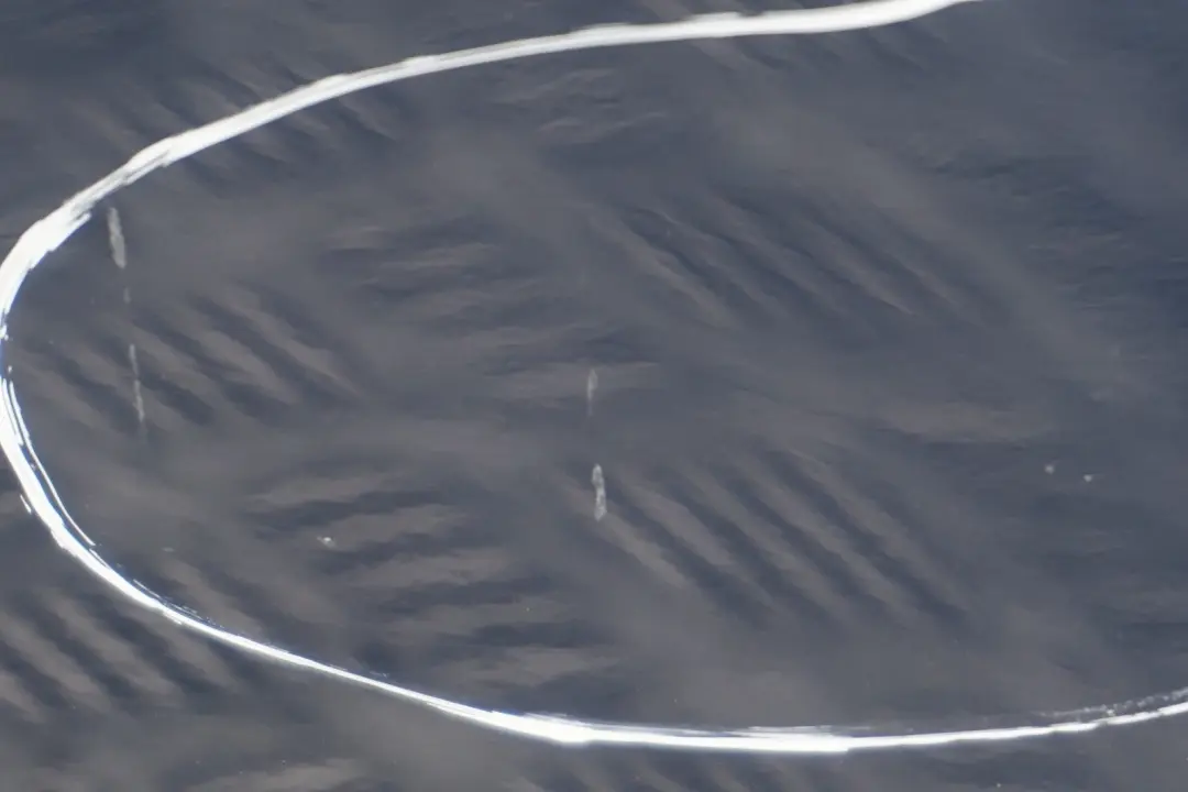 BMW X3 Series E83 2 Door Rear Left N/S Mysticblau Mystic Blue Metallic - A07 - SKU 3449337-MYS2 - Part number 3449337