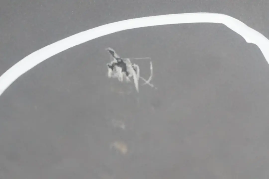 Door Rear Left N/S Silbergrau Silver Grey Metallic A08 to BMW X3 Series E83 2 with Part number 3449337 BMW X3 Series E83 2 Door Rear Left N/S Silbergrau Silver Grey Metallic A08 - SKU 3449337-SBG2 - Part number 3449337