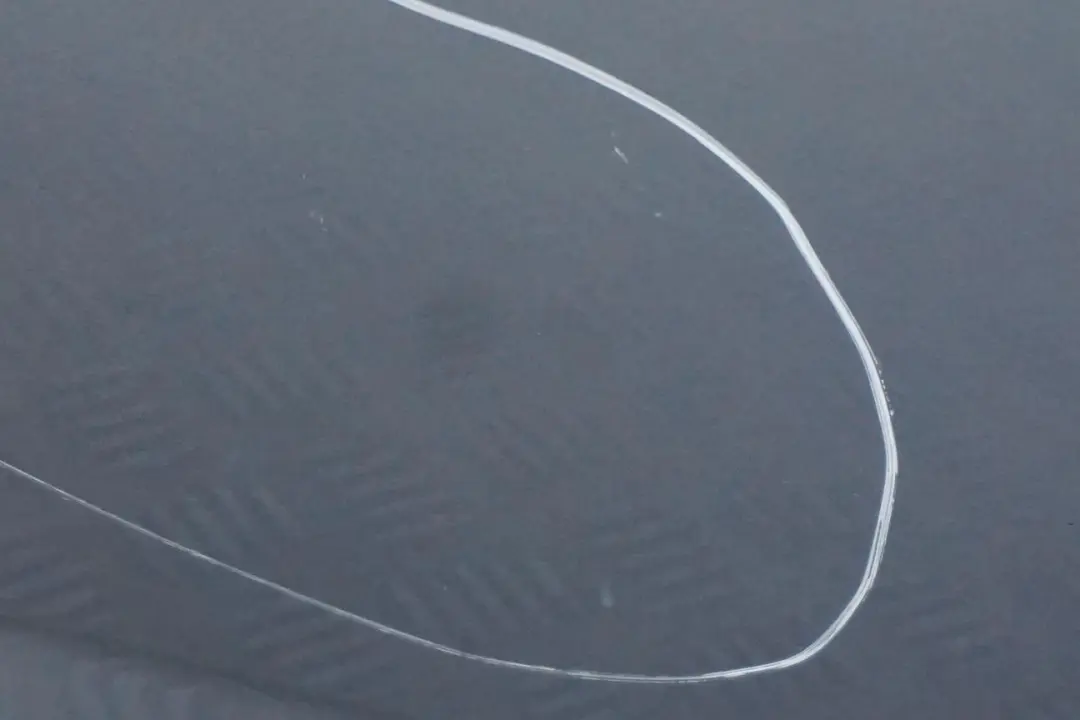 Puerta Trasera Izquierda Azul Agua Metalizado - 896 para BMW E83 con número de pieza 3449337 BMW E83 Puerta Trasera Izquierda Azul Agua Metalizado - 896 - SKU 3449337-WB1 - Número de pieza 3449337