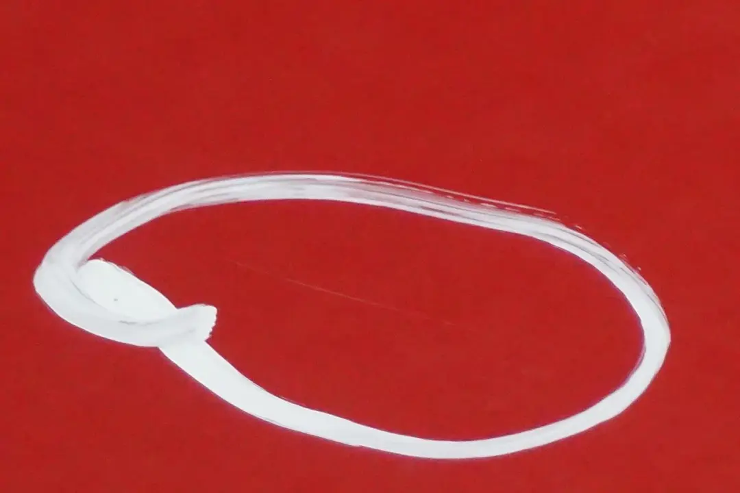 BMW X3 Series E83 Door Rear Right O/S Karmesinrot Crimson Red - A61 - SKU 3449338-KAR1 - Part number 3449338