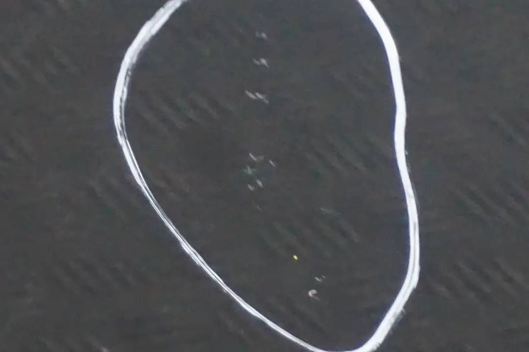 BMW X3 Reihe E83 Fahrerseite Tür Vorne Links Highland Green Gruen - A11 - SKU 3451015-HG - Teilenummer 3451015