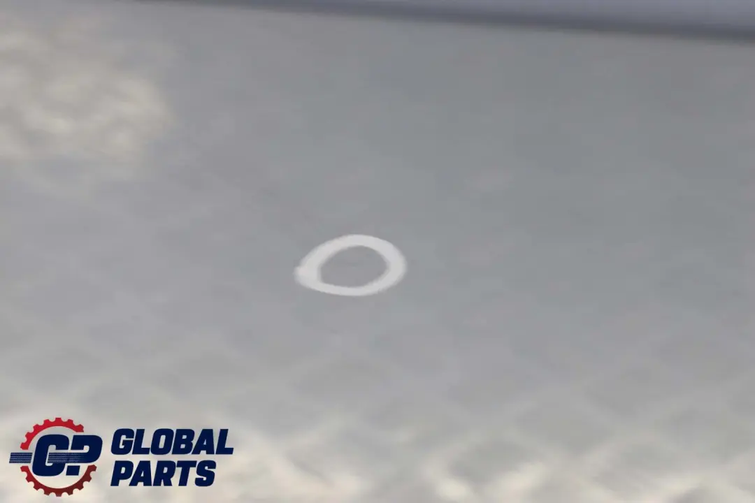 Droite Bluewater Bleu D'Eau Metallique - 896 pour BMW X3 E83 Porte avant à propos du numéro de pièce 3451016 BMW X3 E83 Porte avant Droite Bluewater Bleu D'Eau Metallique - 896 - SKU 3451016-WB2 - Numéro de pièce 3451016