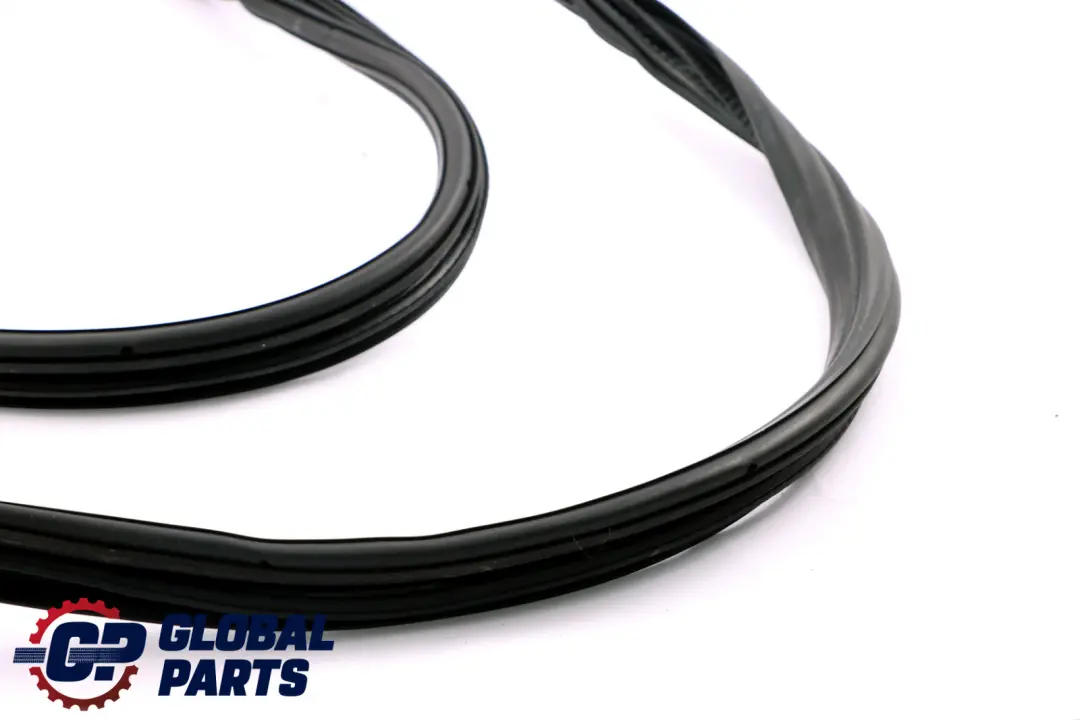 BMW X3 E83 Puerta Delantera Derecha Sello De Proteccion De Goma - SKU 3451666 - Número de pieza 3451666
