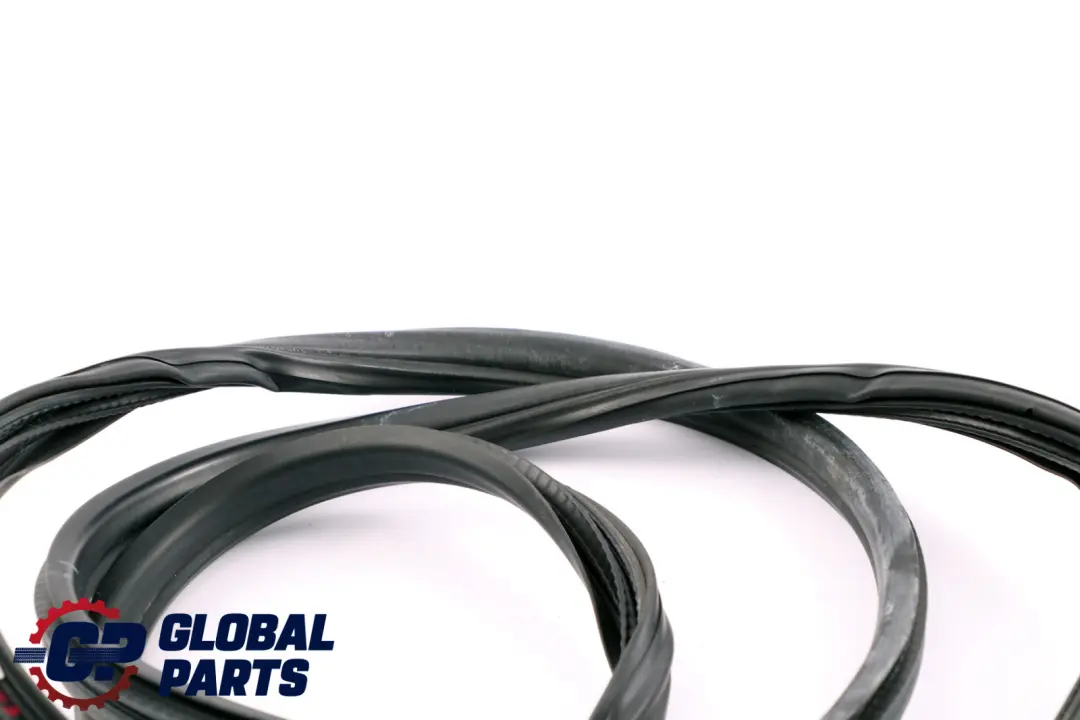 BMW X3 E83 Anteriore Destra Porta Gomma Guarnizione Protezione - SKU 3451666 - Numero di parte 3451666