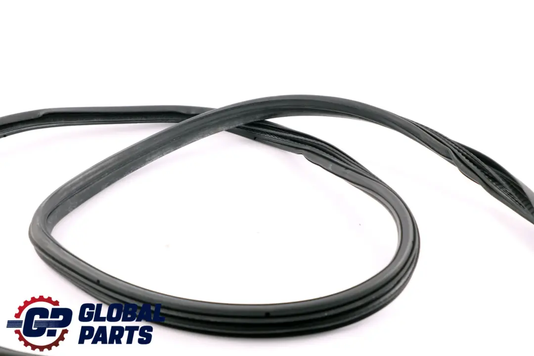 BMW X3 E83 Anteriore Destra Porta Gomma Guarnizione Protezione - SKU 3451666 - Numero di parte 3451666