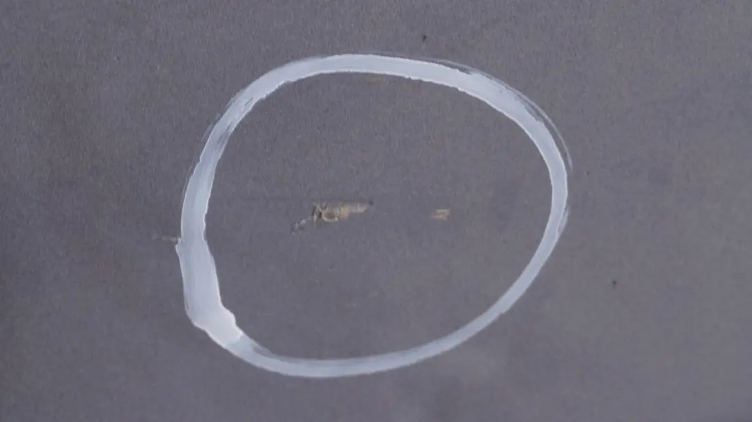 Boot Trunk Lid Tailgate Boot Lid Silbergrau Silver Gre to BMW X3 SERIES 2 E83 Rear with Part number 3452197 BMW X3 SERIES 2 E83 Rear Boot Trunk Lid Tailgate Boot Lid Silbergrau Silver Gre - SKU 3452197-SBG2 - Part number 3452197