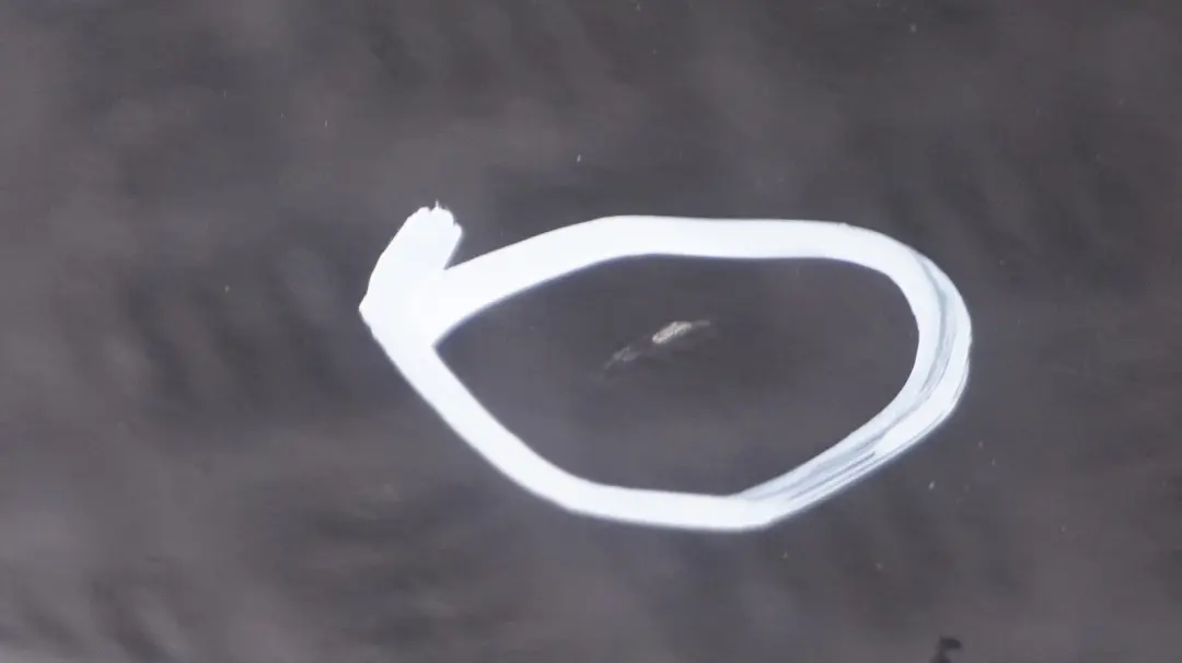 BMW X3 SERIES E83 E83N Rear Boot Trunk Lid Tailgate Boot Lid Schwarz 2 Black - SKU 3452197-SCH - Part number 3452197