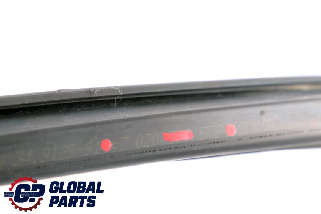 BMW X5 E53 Binario Finestra Porta Anteriore Destra 7020578 - SKU 3492091 - Numero di parte 3492091