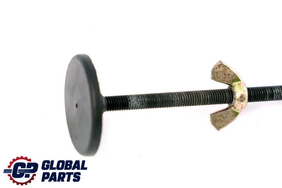 BMW X5 Series E53 Spare Wheel Mount Screw Mounting - SKU 6750687 - Part number 6750687