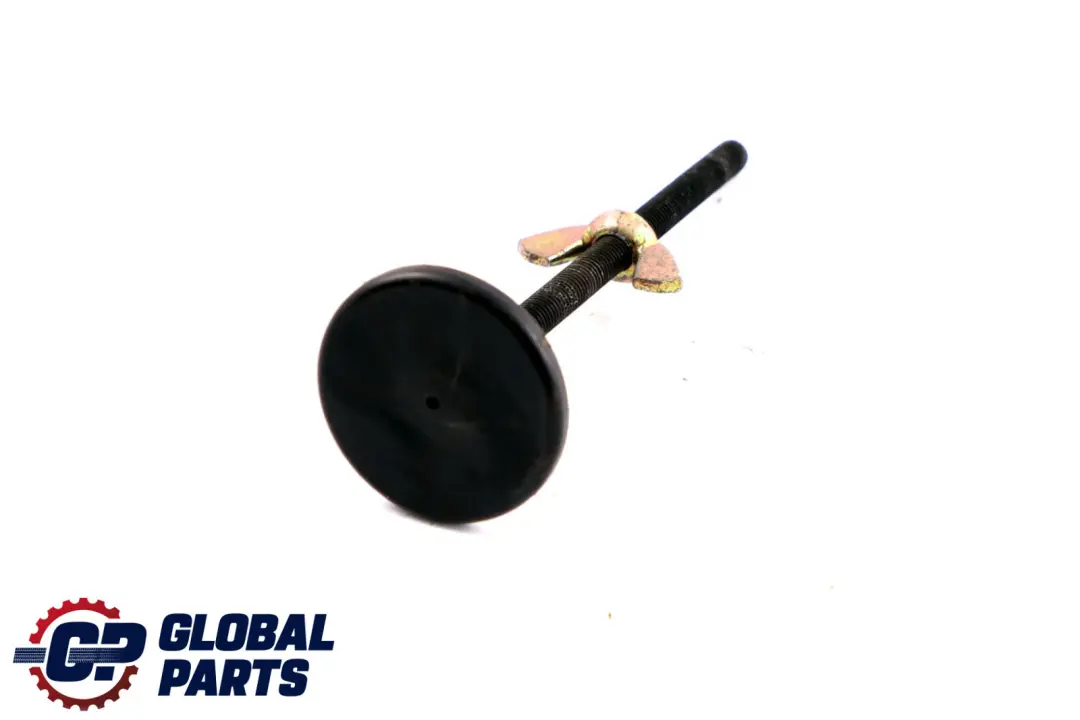 Vite di Fissaggio Ruota di Scorta per BMW X5 E53 con numero di parte 6750687 BMW X5 E53 Vite di Fissaggio Ruota di Scorta - SKU 6750687 - Numero di parte 6750687