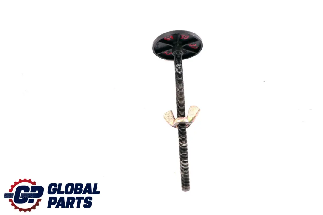 Vite di Fissaggio Ruota di Scorta per BMW X5 E53 con numero di parte 6750687 BMW X5 E53 Vite di Fissaggio Ruota di Scorta - SKU 6750687 - Numero di parte 6750687