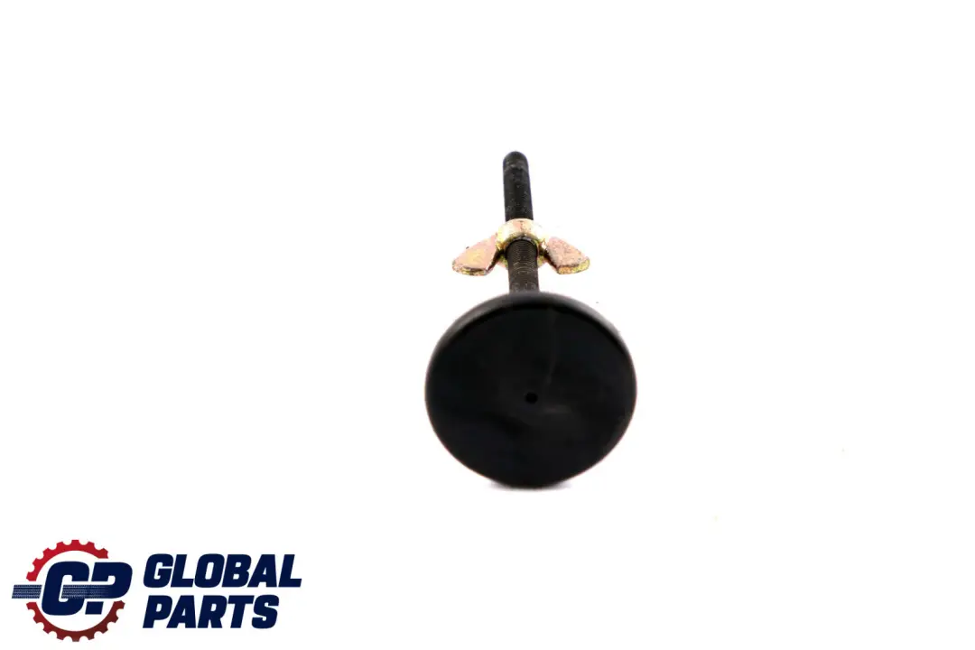 BMW X5 Serie E53 Vis de Fixation Roue de Secours - SKU 6750687 - Numéro de pièce 6750687