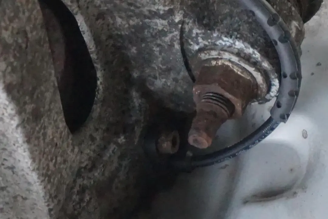 M57N Trasera Izquierda Suspension Freno Pierna Cubo Eje para BMW E61 525d con número de pieza 6765909 BMW E61 525d M57N Trasera Izquierda Suspension Freno Pierna Cubo Eje - SKU 6765909-1 - Número de pieza 6765909