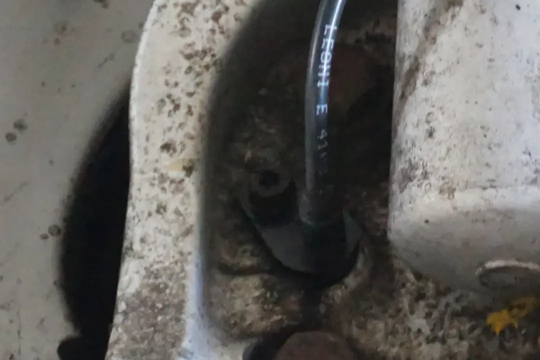 6er E63 645i N62 Amortisseur avant Droit Boitier D?etrier de Frein pour BMW à propos du numéro de pièce 6766772 BMW 6er E63 645i N62 Amortisseur avant Droit Boitier D?etrier de Frein - SKU 6766772 - Numéro de pièce 6766772