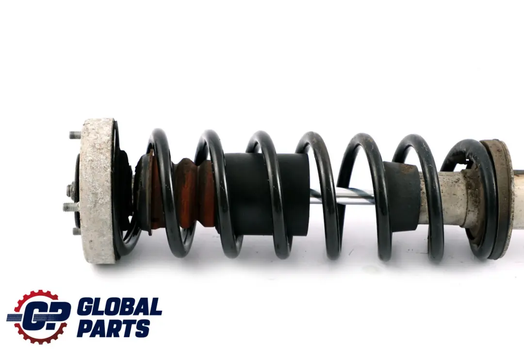 Federbein hinten rechts links Hinterachse für BMW 5 er E60 mit Teilenummer 33526766995 BMW 5 er E60 Federbein hinten rechts links Hinterachse - SKU 6766995 - Teilenummer 33526766995