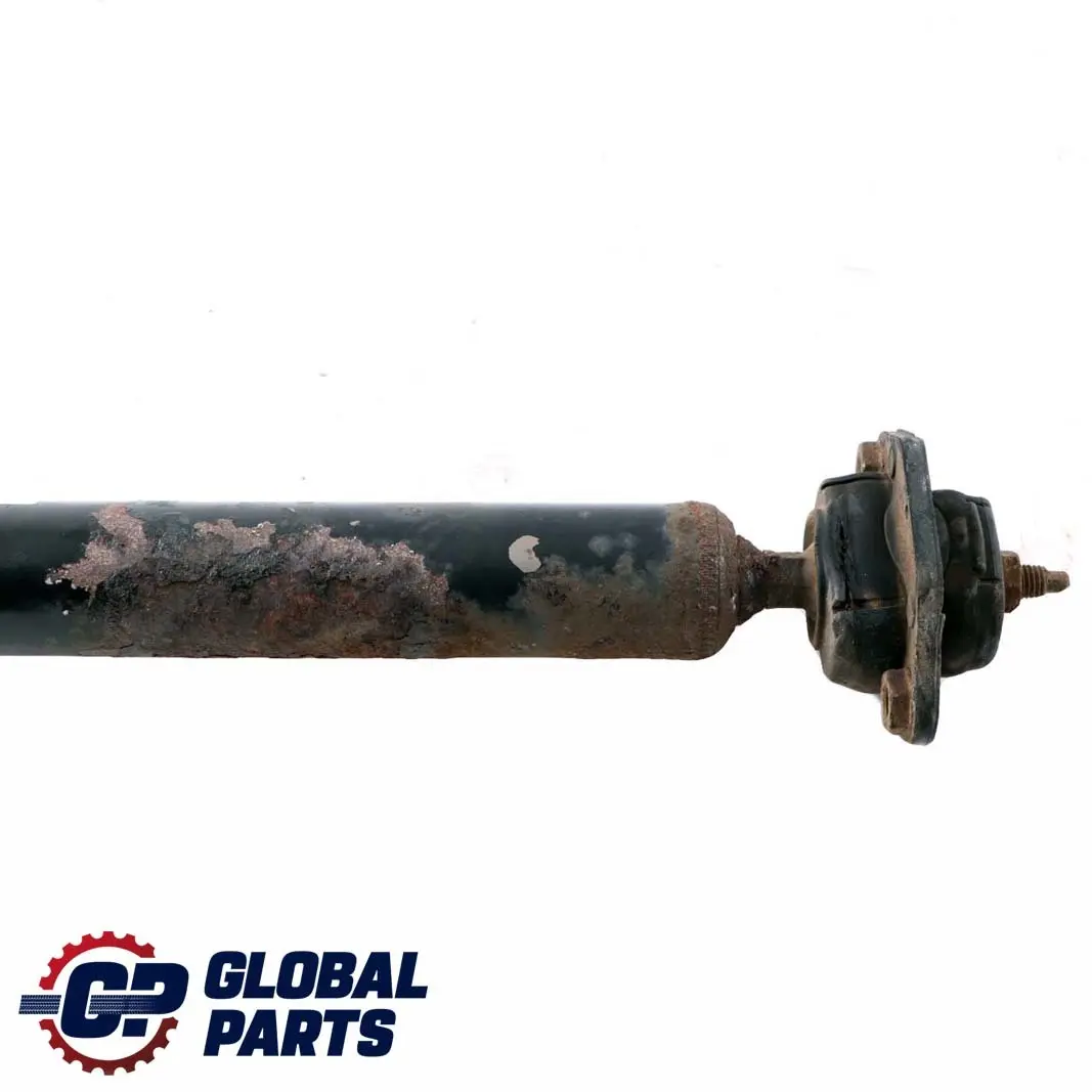 Hinterachse Stossdämpfer Hinten für BMW 3 er E91 Touring Kombi 318i 320i mit Teilenummer 6772916 BMW 3 er E91 Touring Kombi 318i 320i Hinterachse Stossdämpfer Hinten - SKU 6772916 - Teilenummer 6772916